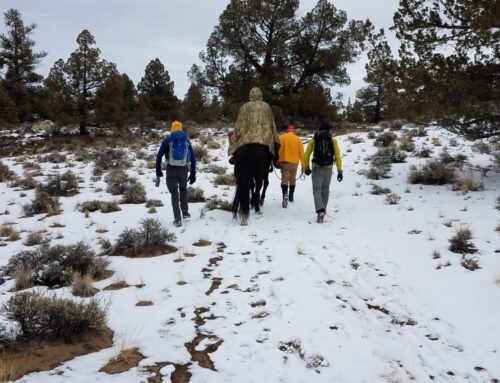 SAR RESCUES MALE ON TUMULUS TRAIL