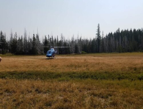 DCSO SAR ASSISTS HIKER ON PARK MEADOW TRAIL