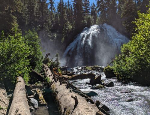 DESCHUTES COUNTY SHERIFF’S OFFICE SEARCH AND RESCUE VOLUNTEERS ASSIST INJURED HIKER NEAR CHUSH FALLS